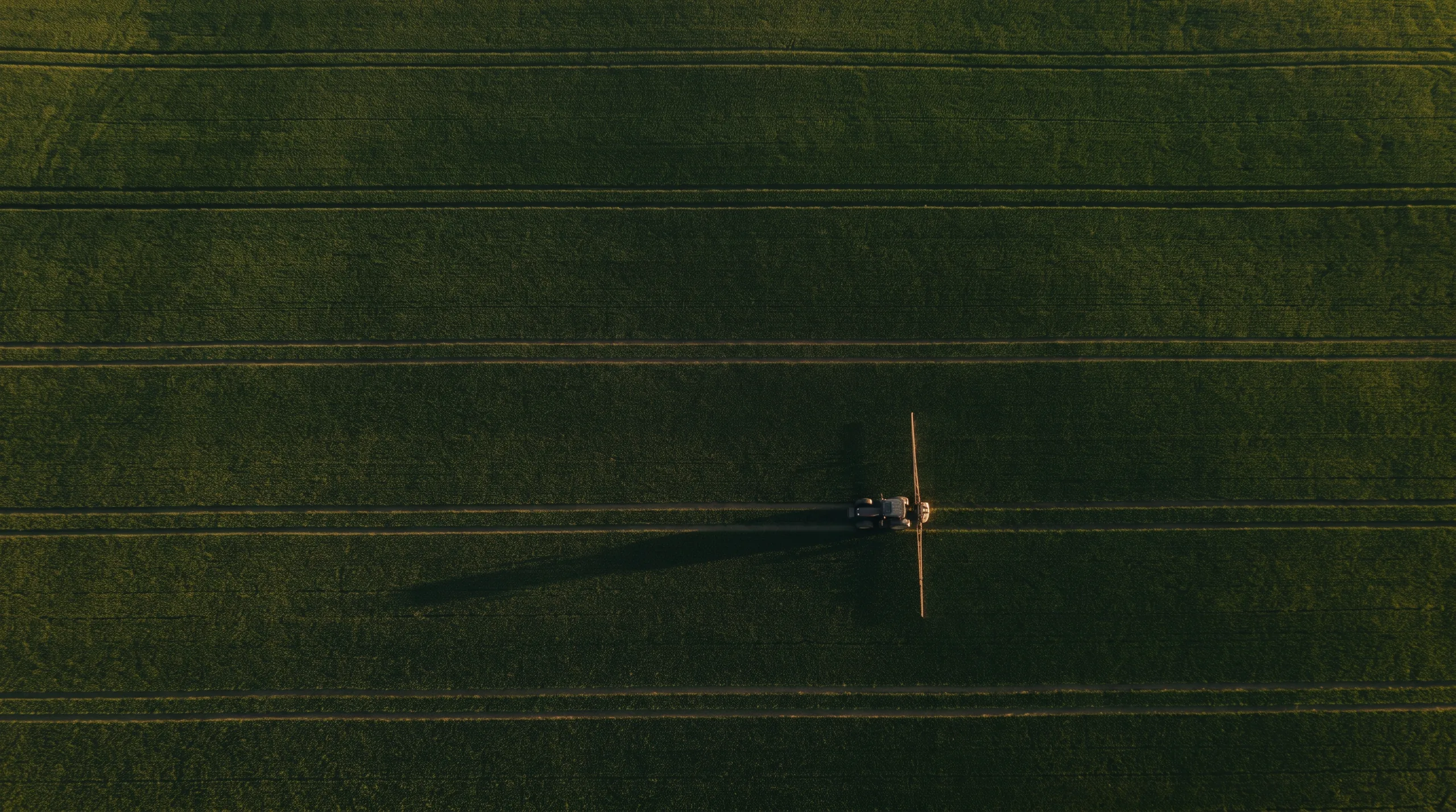 Aerial view of straight sprayer tramlines running the length of a field